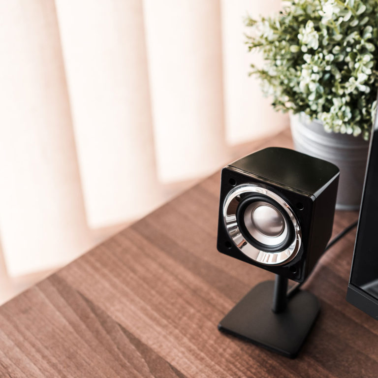 The iPhone, the Speaker and Us