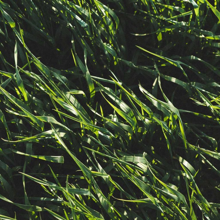 When Elephants Collide: Maintaining Technological Competence vs. Complying With Discovery Rules - MBILIKE M. MWAFULIRWA